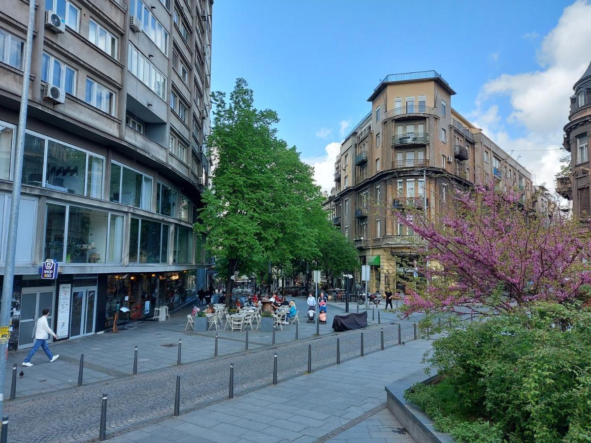 Lotta Apartment 贝尔格莱德 外观 照片
