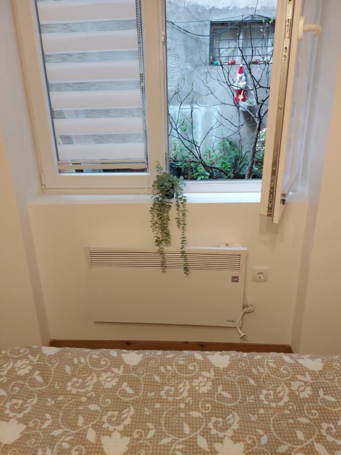 Lotta Apartment 贝尔格莱德 外观 照片